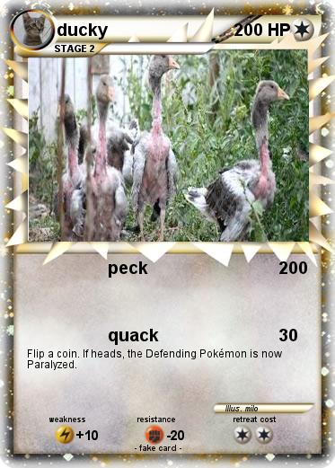 Pokemon ducky
