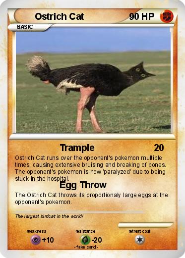 Pokemon Ostrich Cat
