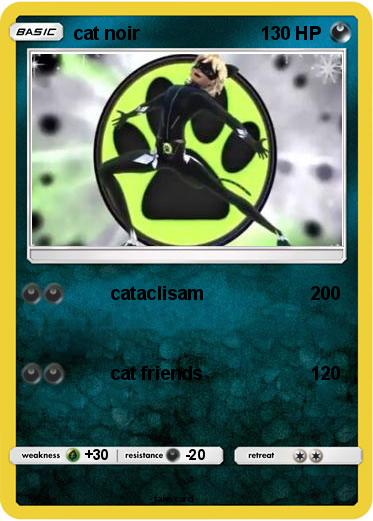 Pokemon cat noir