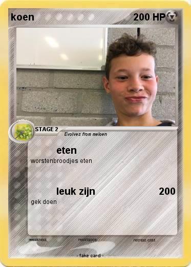 Pokemon koen