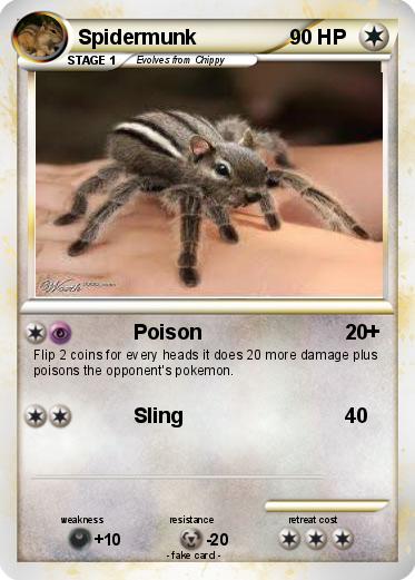 Pokemon Spidermunk
