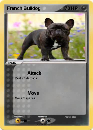 Pokemon French Bulldog