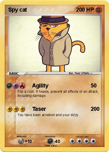 Pokemon Spy cat