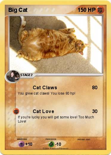 Pokemon Big Cat