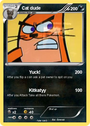 Pokemon Cat dude