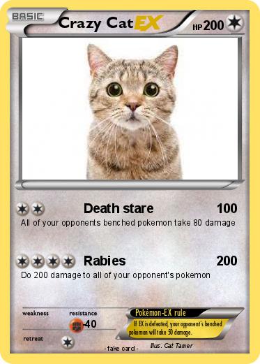 Pokemon Crazy Cat