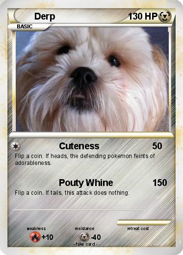 Pokemon Derp