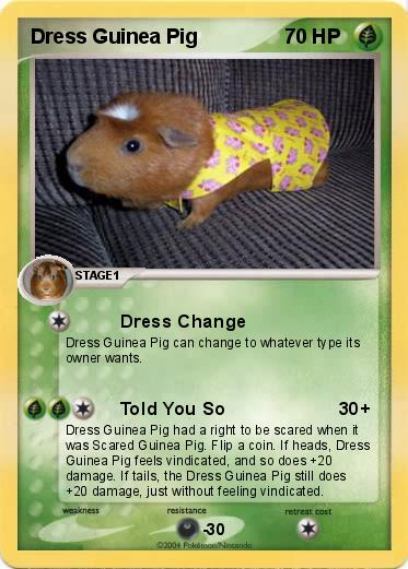 Pokemon Dress Guinea Pig