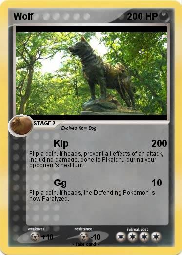 Pokemon Wolf