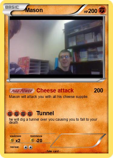 Pokemon Mason