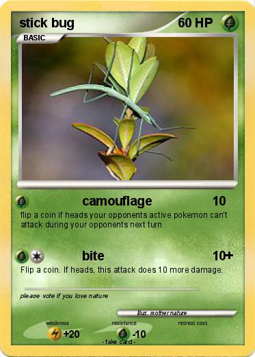 Pokemon stick bug