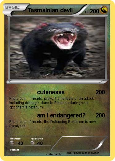 Pokemon Tasmainian devil
