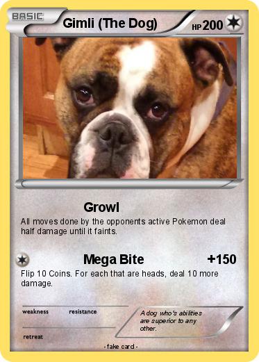 Pokemon Gimli (The Dog)