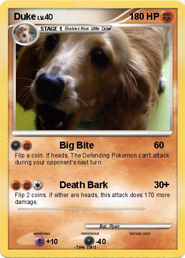 Pokemon Duke Pokemon Duke