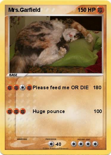 Pokemon Mrs.Garfield