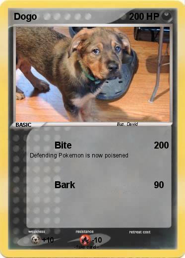 Pokemon Dogo