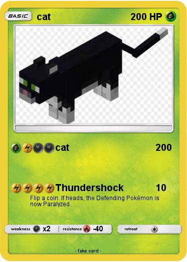 Pokemon cat