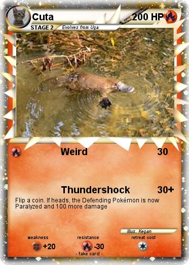 Pokemon Cuta