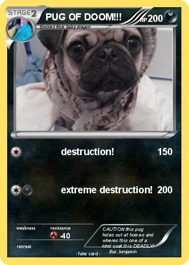 Pokemon PUG OF DOOM!!!