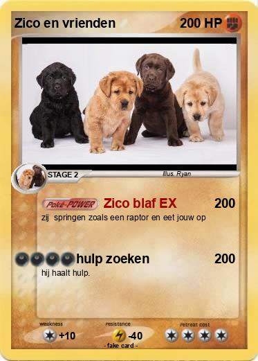 Pokemon Zico en vrienden