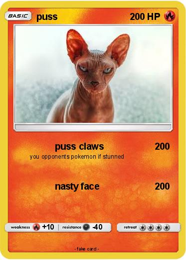 Pokemon puss