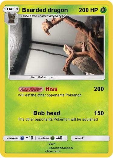 Pokemon Bearded dragon