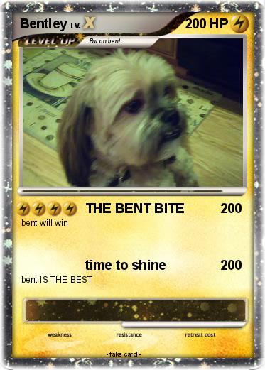 Pokemon Bentley