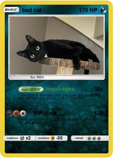 Pokemon bad cat