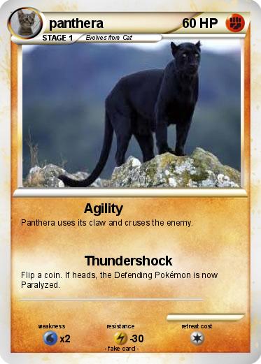 Pokemon panthera