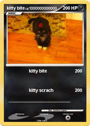 Pokemon kitty bite