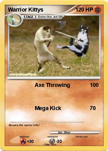 Pokemon Warrior Kittys