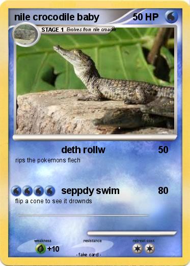 Pokemon nile crocodile baby