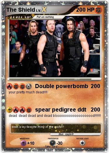 Pokemon The Shield