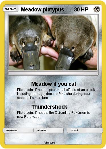 Pokemon Meadow platypus