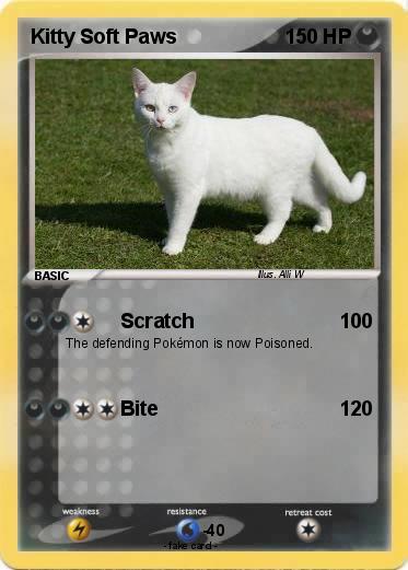 Pokemon Kitty Soft Paws