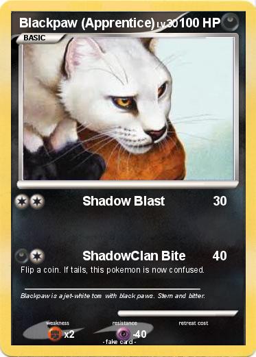 Pokemon Blackpaw (Apprentice)