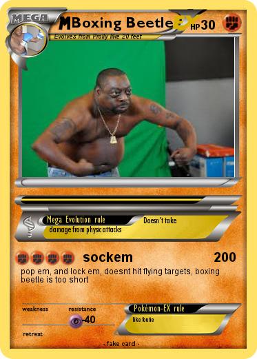 Pokemon Boxing Beetle