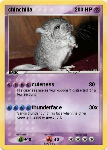 Pokemon chinchilla