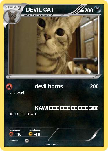 Pokemon DEVIL CAT