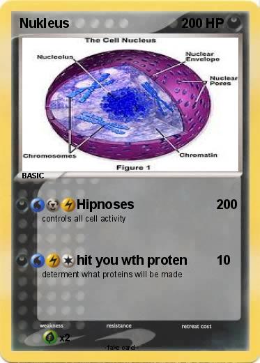 Pokemon Nukleus