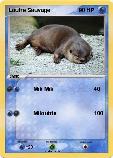 Pokemon Loutre Sauvage