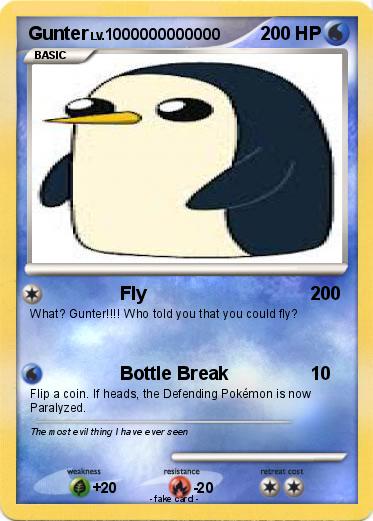Pokemon Gunter