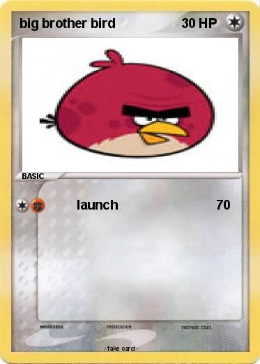 Pokemon big brother bird