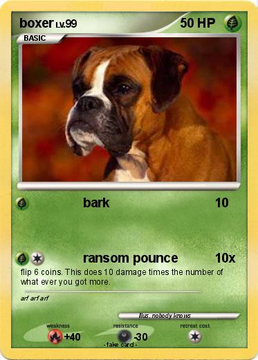 Pokemon boxer