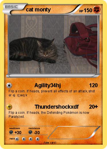 Pokemon cat monty