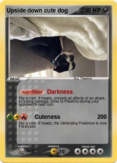 Pokemon Upside down cute dog
