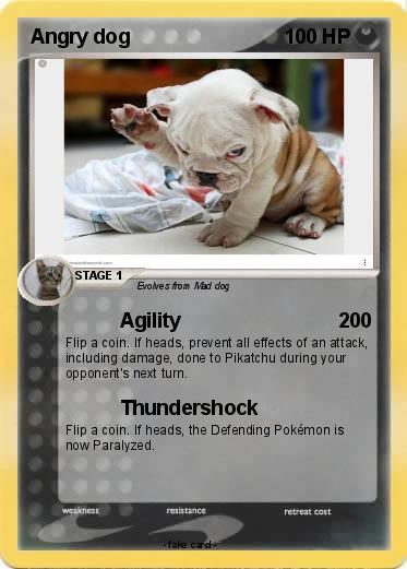 Pokemon Angry dog