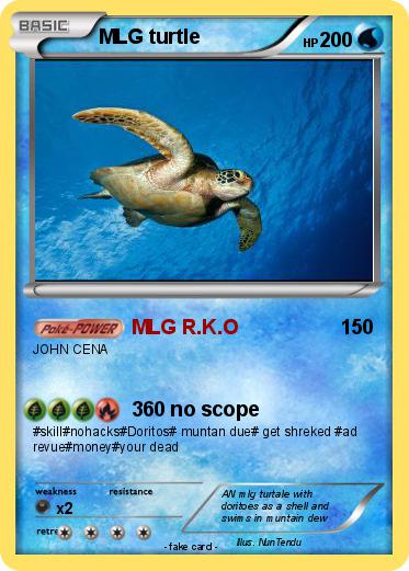 Pokemon MLG turtle