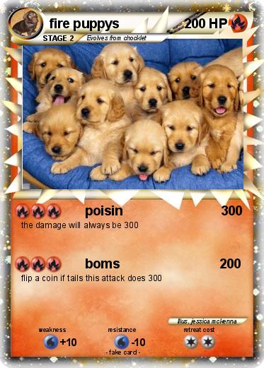 Pokemon fire puppys