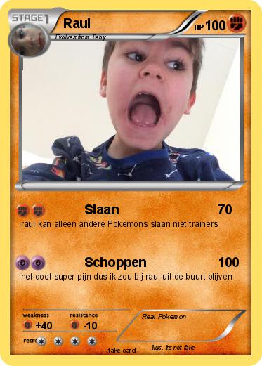 Pokemon Raul